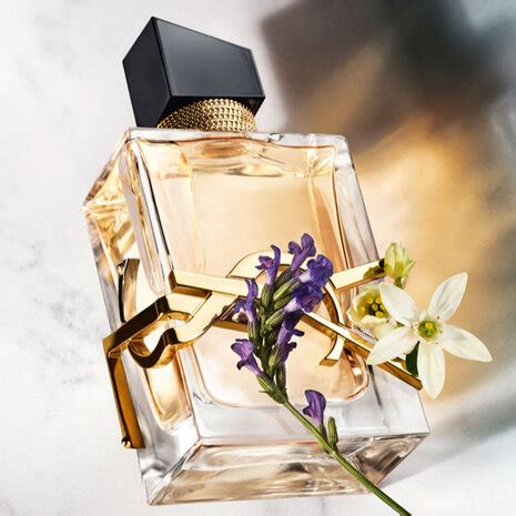 ysl beauty fragrance.